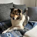 Ersteller:in Brigitte Profilbild