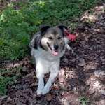 Ersteller:in Brigitte Profilbild