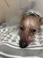 Ich brauche dringend Hilfe-Beitrag-Bild