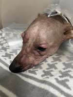 Ich brauche dringend Hilfe-Beitrag-Bild