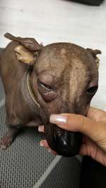 Augenentzündung-Beitrag-Bild