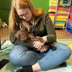 Ersteller:in Josefina Profilbild