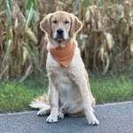 Ersteller:in Michelle Profilbild