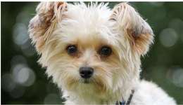 Ersteller:in Marianne Profilbild