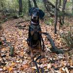 Ersteller:in Jasmina Profilbild