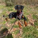 Ersteller:in Jasmina Profilbild