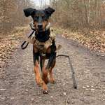 Ersteller:in Jasmina Profilbild