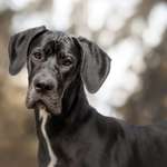 Ersteller:in Joana Profilbild