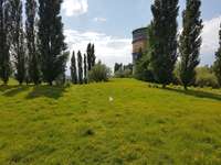 Hundeauslaufgebiet-Decathlon-Bild