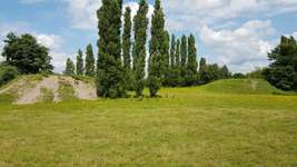 Hundeauslaufgebiet-Decathlon-Bild