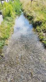 Hundeauslaufgebiet-Decathlon-Bild