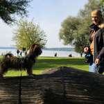 Ersteller:in Dana Profilbild