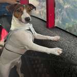 Ersteller:in Artur Profilbild