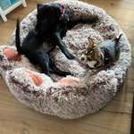 Ersteller:in Nina Profilbild