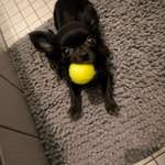 Ersteller:in Christina Profilbild