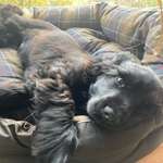 Ersteller:in Carolin Profilbild