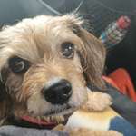 Ersteller:in Ilonka Profilbild