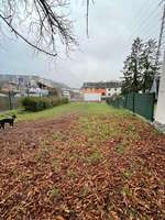 Hundeauslaufgebiet-Hunde Auslauf Nord-Bild