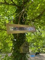 Hundeauslaufgebiet-Hundewiese Maarviertel-Bild