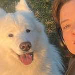 Ersteller:in M. Profilbild