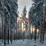 Ersteller:in V. Profilbild