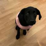 Ersteller:in Fränky Profilbild