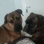 Ersteller:in Julia Profilbild