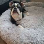 Ersteller:in Stefanie Profilbild