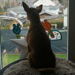 Ersteller:in Simon Profilbild