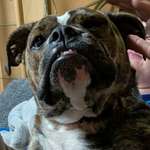 Ersteller:in Thomas Profilbild