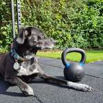 Ersteller:in Valerie Profilbild