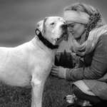 Ersteller:in Noah Profilbild