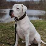 Ersteller:in Noah Profilbild