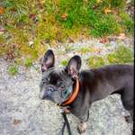 Ersteller:in Mayleen Profilbild