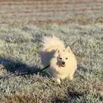 Ersteller:in Sakari Profilbild