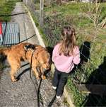 Ersteller:in Margrit Profilbild