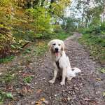 Ersteller:in Felix  Profilbild