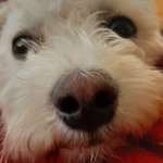 Ersteller:in Andrea Profilbild