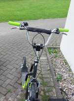 Roller fahren mit hund-Beitrag-Bild