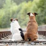 Ersteller:in Helga Profilbild