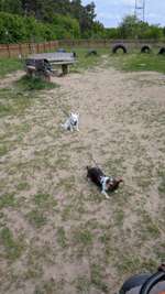 Hundeauslaufgebiet-Kleiner Hundeplatz-Bild