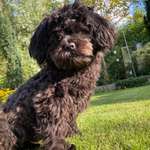 Ersteller:in Carmen Profilbild