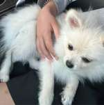 Ersteller:in Magda Profilbild