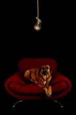 Photoshop und Co.-Beitrag-Bild