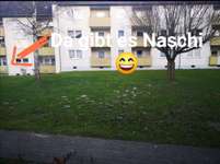 Leckerlies vom Balkon der Nachbarn-Beitrag-Bild