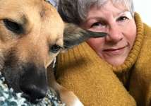 Spielen an der Leine-Beitrag-Bild