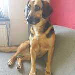 Ersteller:in Christa Profilbild