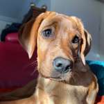 Ersteller:in Chiara Profilbild