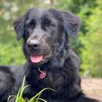 Ersteller:in Vivi Profilbild