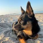 Ersteller:in heidi Profilbild